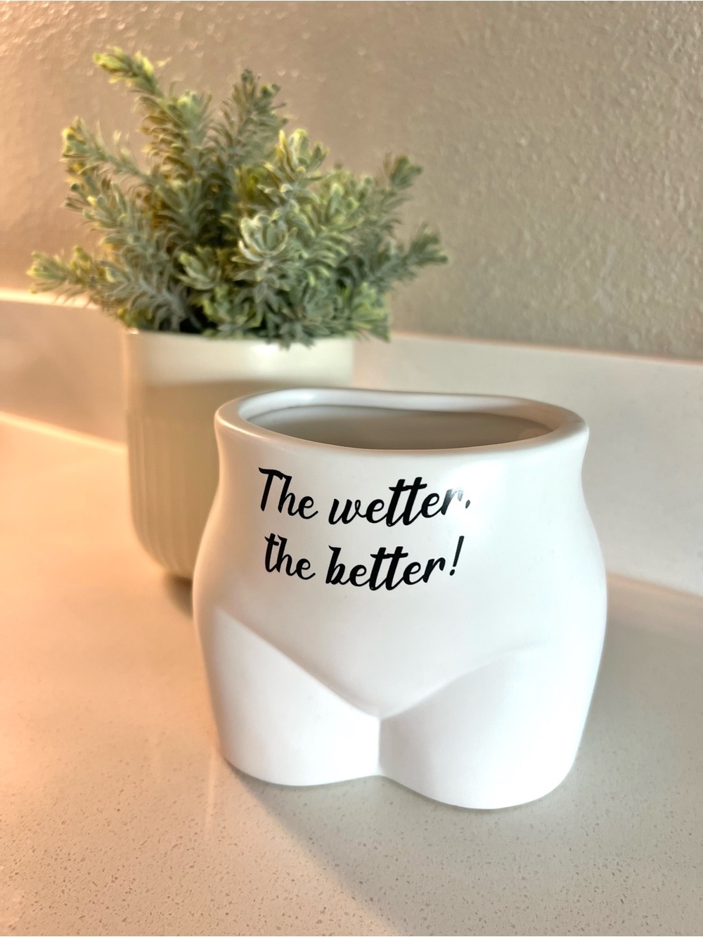 White Ceramic Planter with 'The Wetter, the Better!'